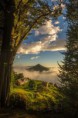 /album/foto-de-la-semana-mayo-2016/foto-de-la-semana-jpg1/